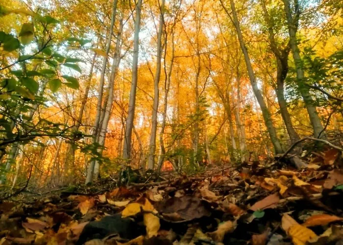 Tor Zum Saueland Mit Sauna Und Whirlpool *